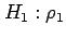 $\displaystyle H_1: \rho_1$