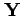$ {\bf Y}$