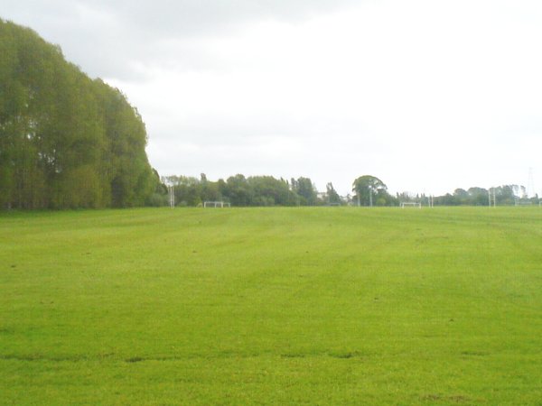 A photo of the pitches