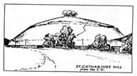 St. Catherine's Hill from the South West