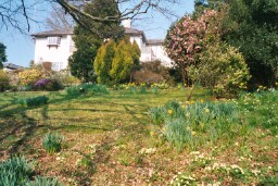 picture of
 garden