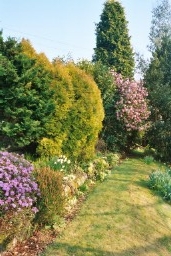 another pi
cture of garden