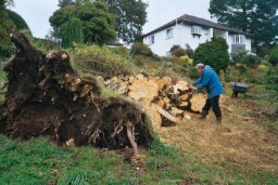pic
ture of chopping