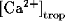 tex2html_wrap_inline1014