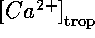 tex2html_wrap_inline1685